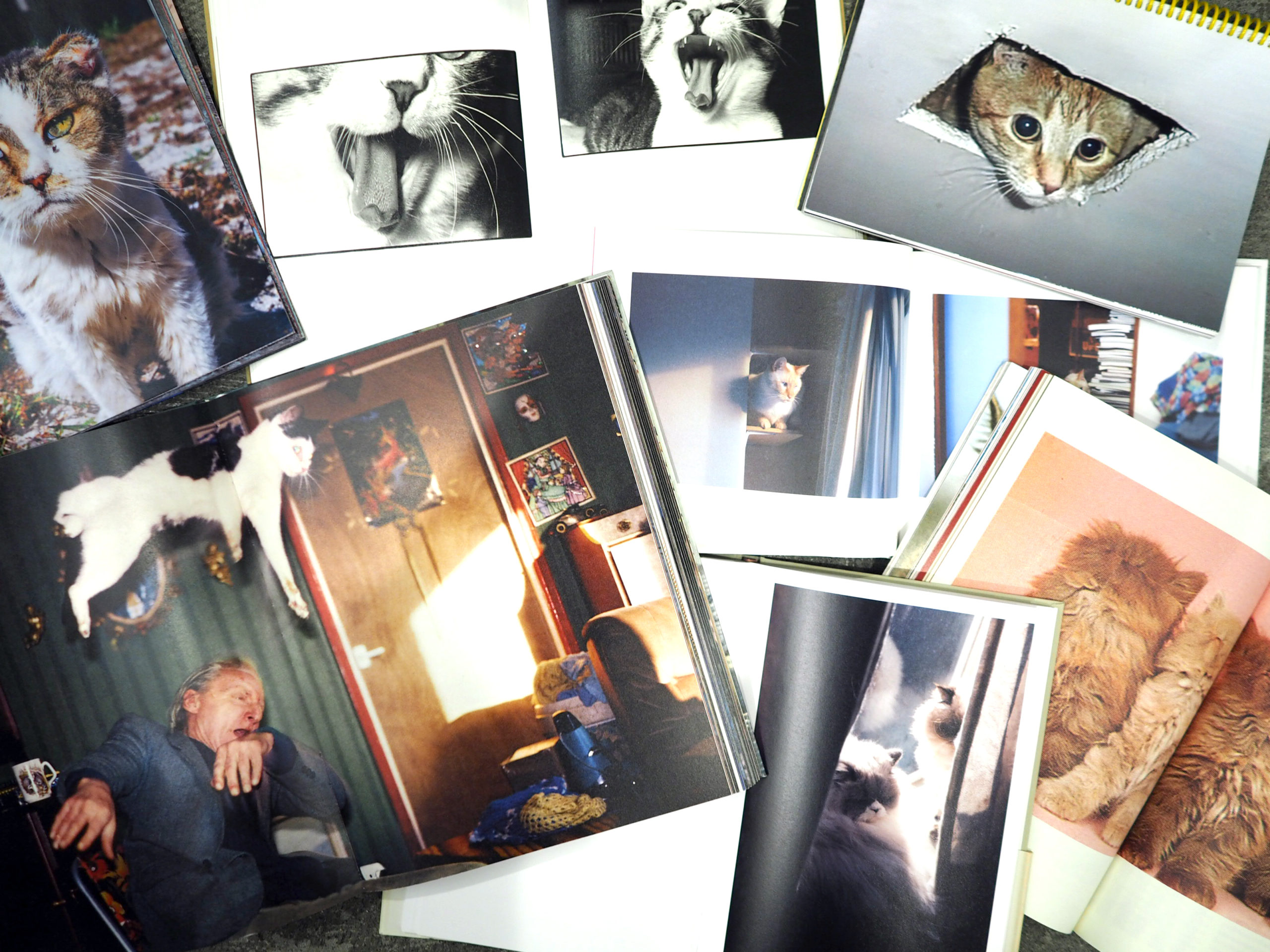 フレーメンストア